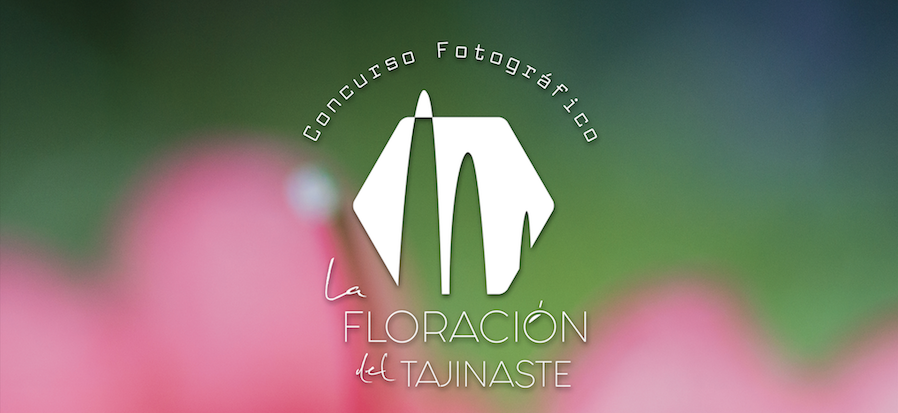 Concurso fotográfico: «La floración del tajinaste» III Edición.
