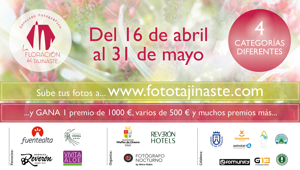 Concurso fotográfico: “La floración del tajinaste” IV Edición.